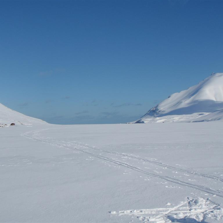 Horft út yfir ísilagt vatnið