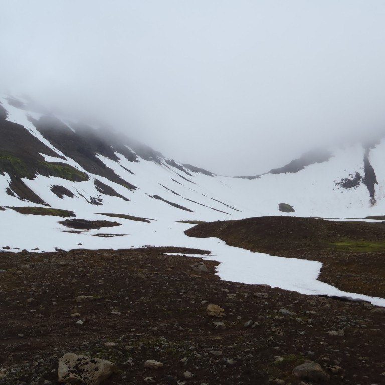 Hestskarð í þokunni.