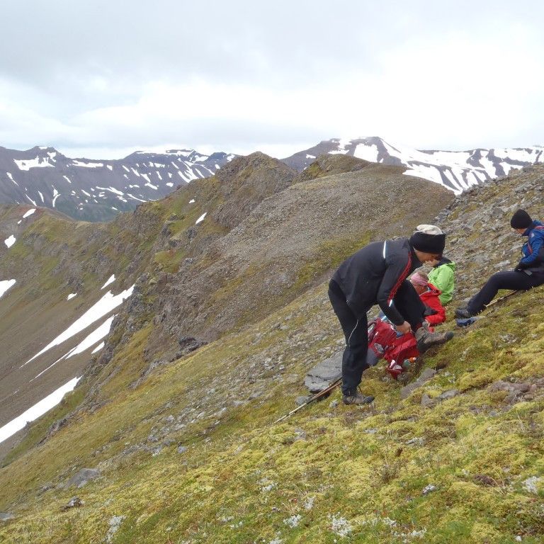 Leiðin framundan. Hryggurinn langi.