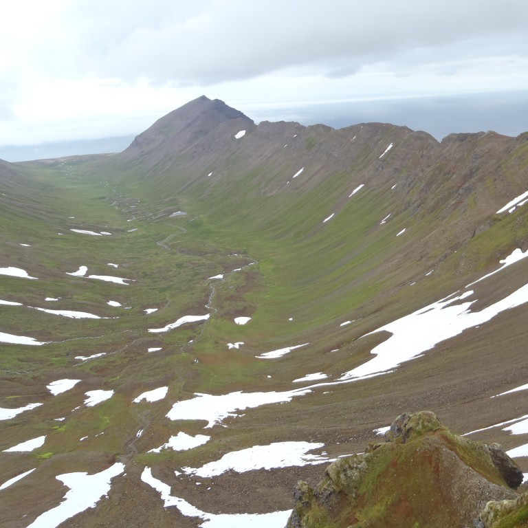 Hesturinn og Nesdalurinn. Leiðin sem fara átti.
