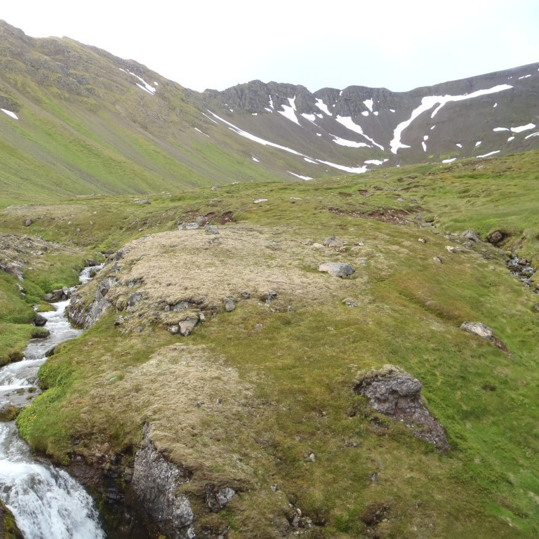 Drjúg ganga var inn Nesdalinn og upp í Kálfaskarð.