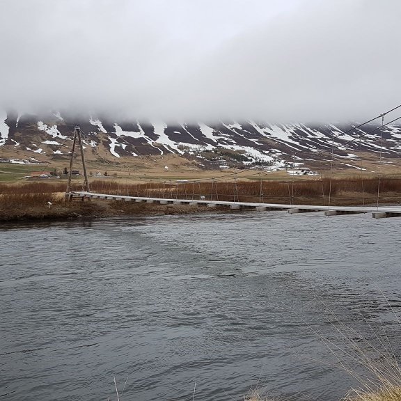 100088691_933926283718697_1883045316198924288_n