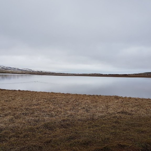 100743007_269626814406401_3211520503768416256_n