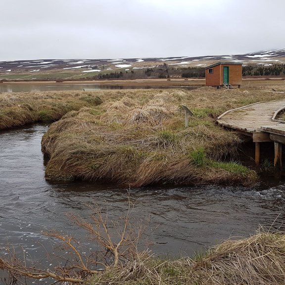 99425393_2309457056017429_6591917442283339776_n