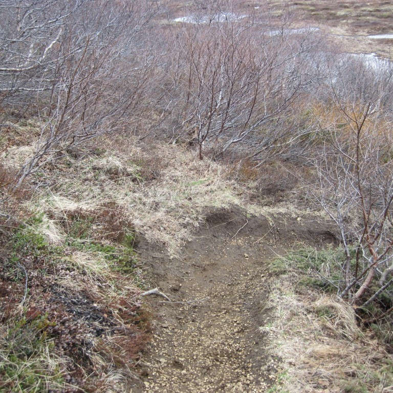 Þá er það gangan niður