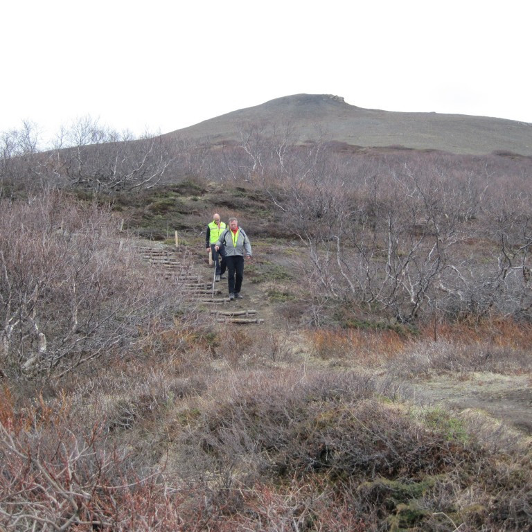 Stefán og Örn búnir að stilla á sömu bylgjulengd :)