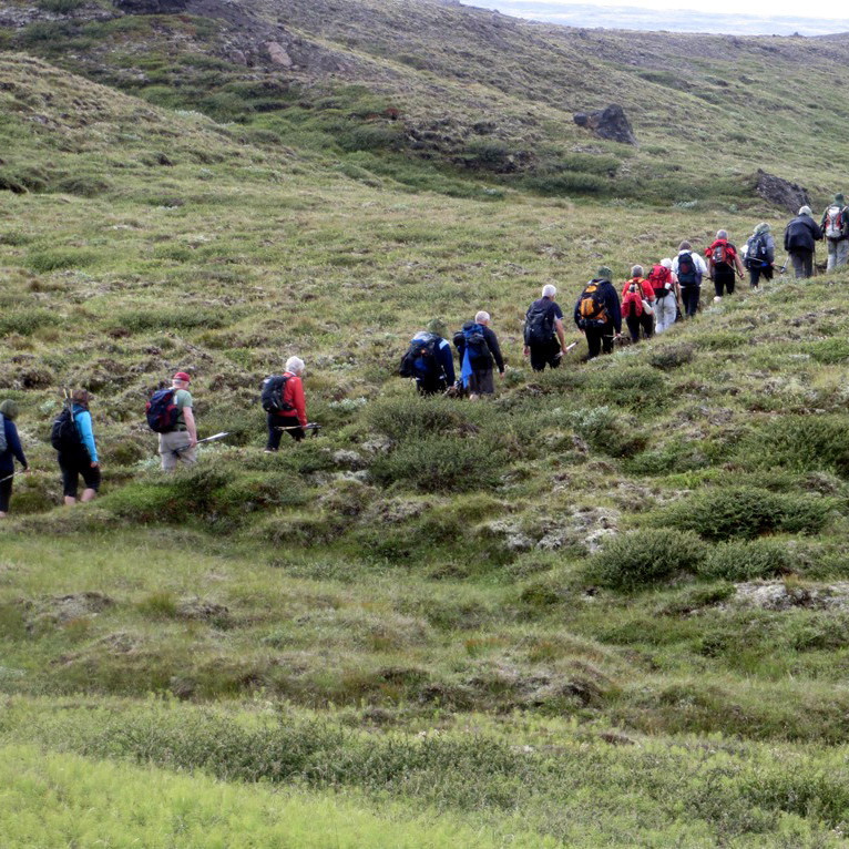 Á gamalli götuslóð