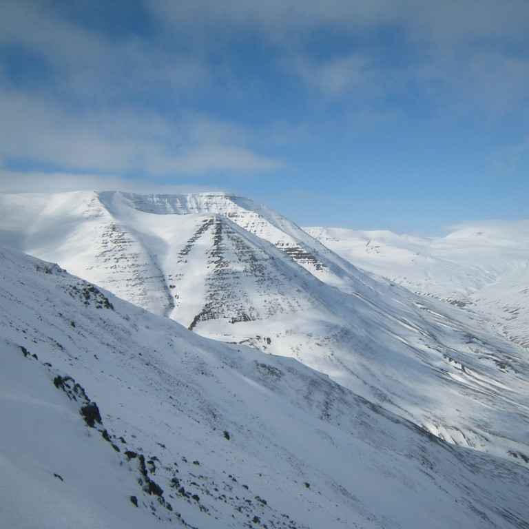 Nautárdalur uppaf Skjóldal