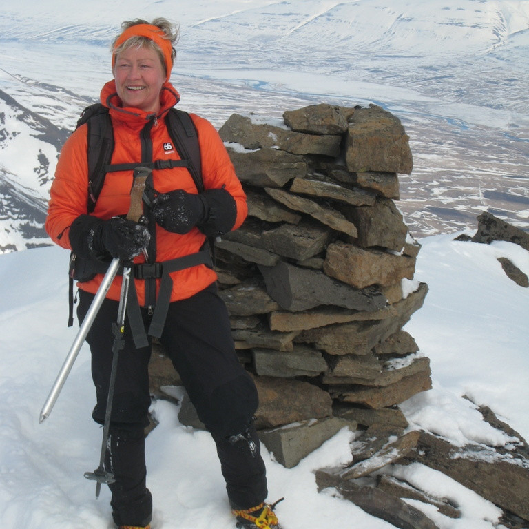 Lína við vörðuna