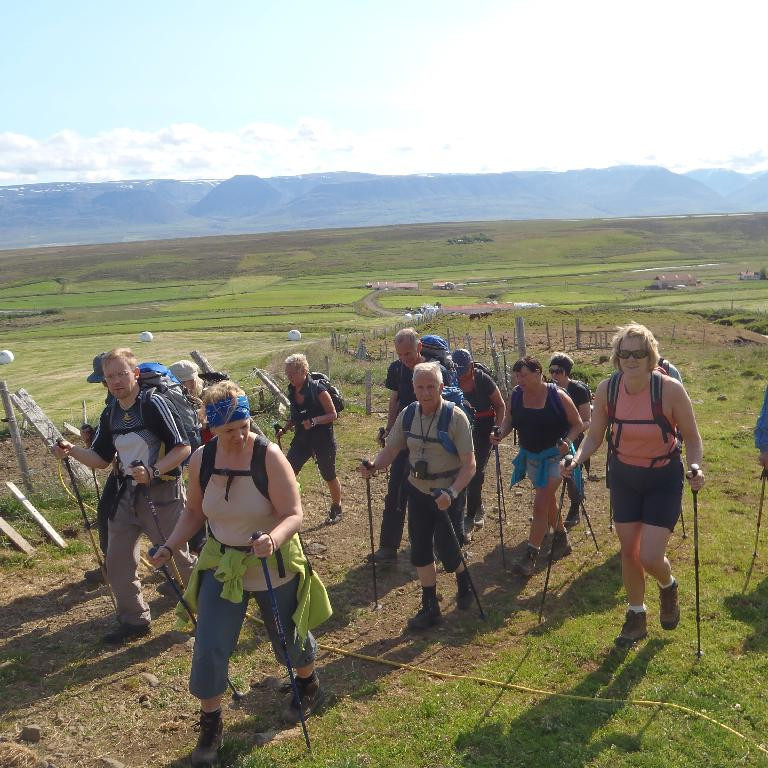 Lagt af stað frá Hóli