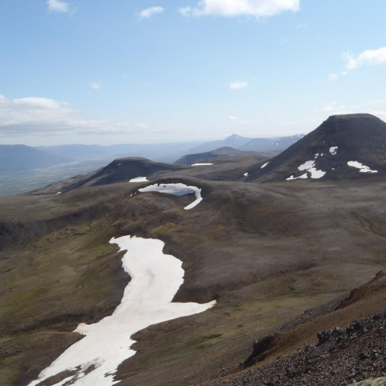 Kaldbakur Mælifell í baksýn