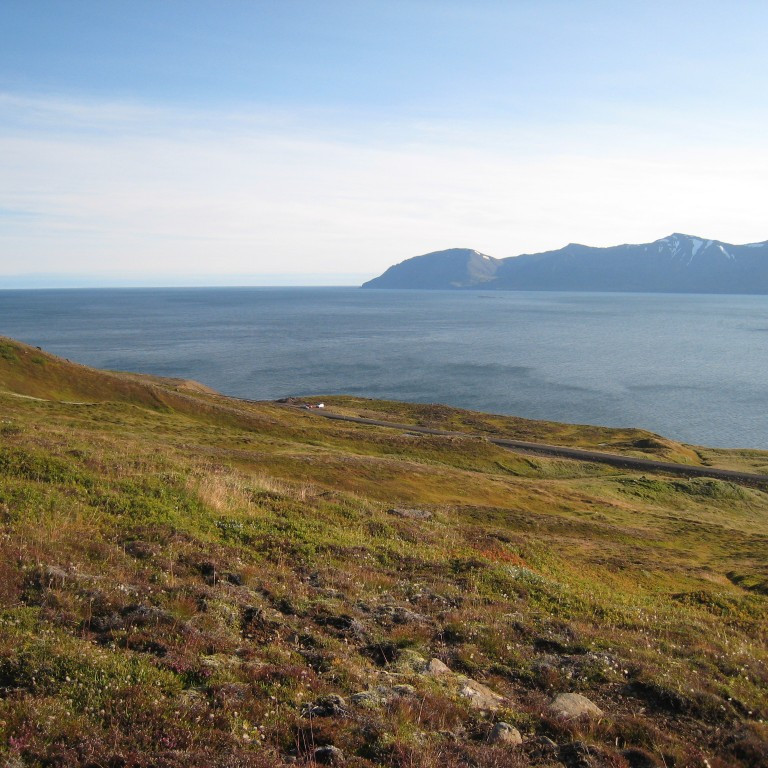 Séð niður á veg, Gjögrarnir í fjarska