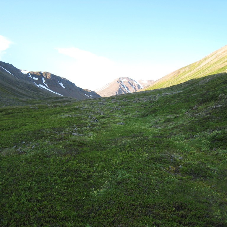 Jökulkolla í botni Sauðadals