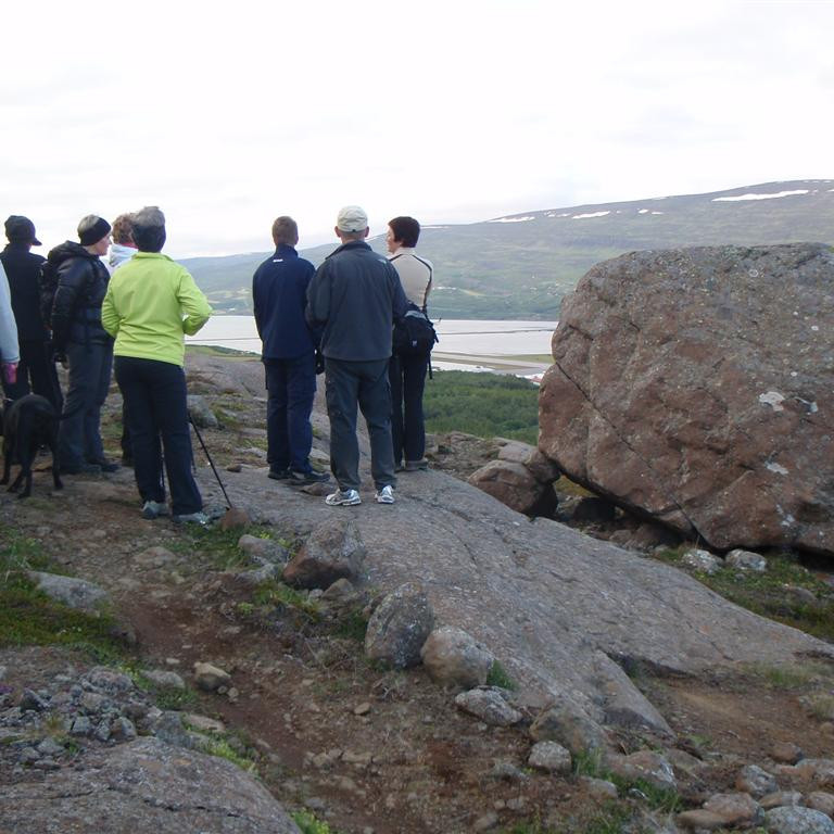 Staldrað við á útsýnisstað