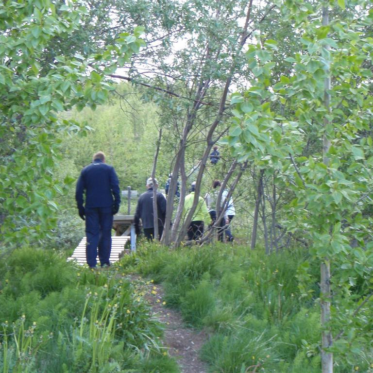 Á skógarstíg ofan Langakletts