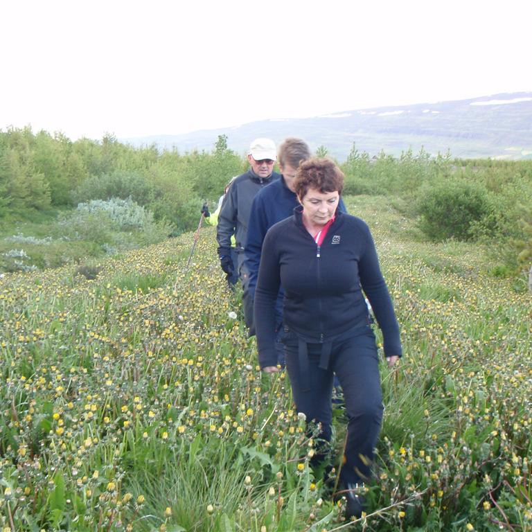 Í blómlegum túnfífilsakri