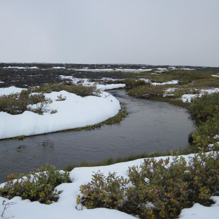 Hvar eru haustlitirnir?
