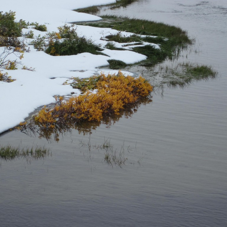 Haust eða kom bara veturinn?