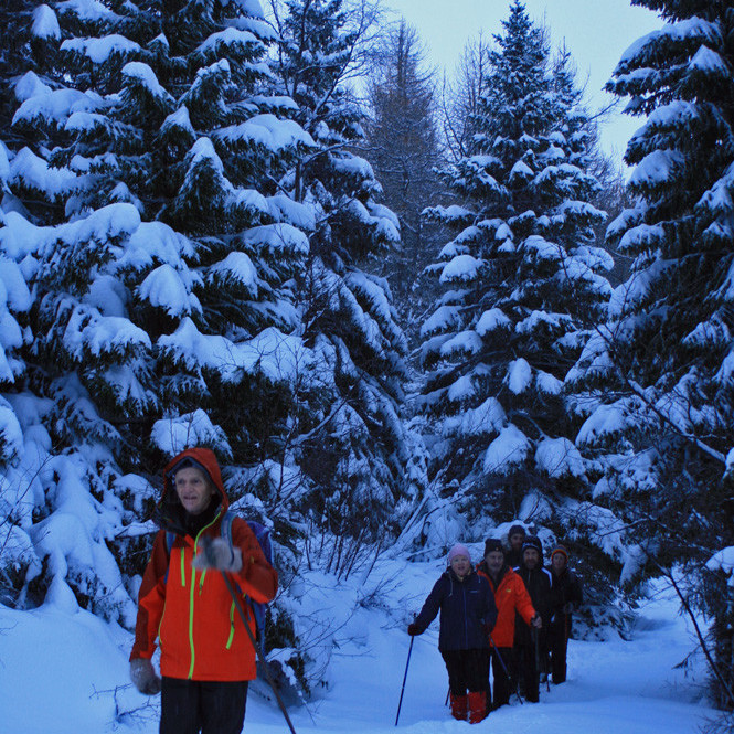 Á skjólsælum stíg á leið norður Vaðlareit.