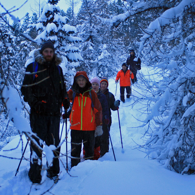 Í skógarþykkni í Vaðlareit. Hér var snjór á hverjum kvisti!