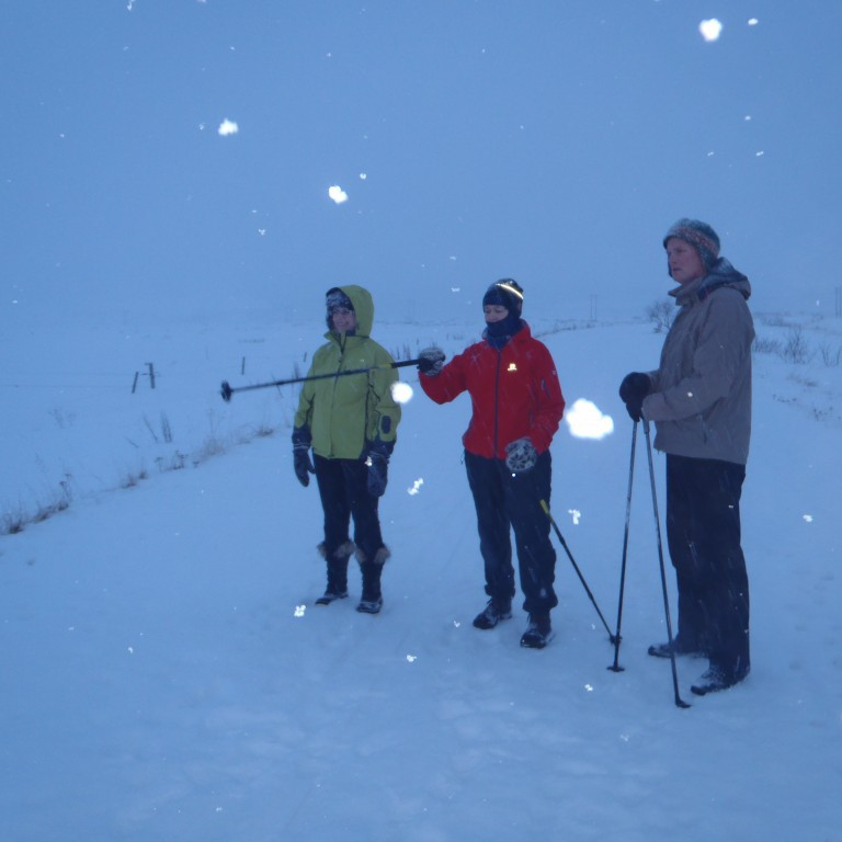 Sjáið fuglinn
Védís,Ella og Valur.