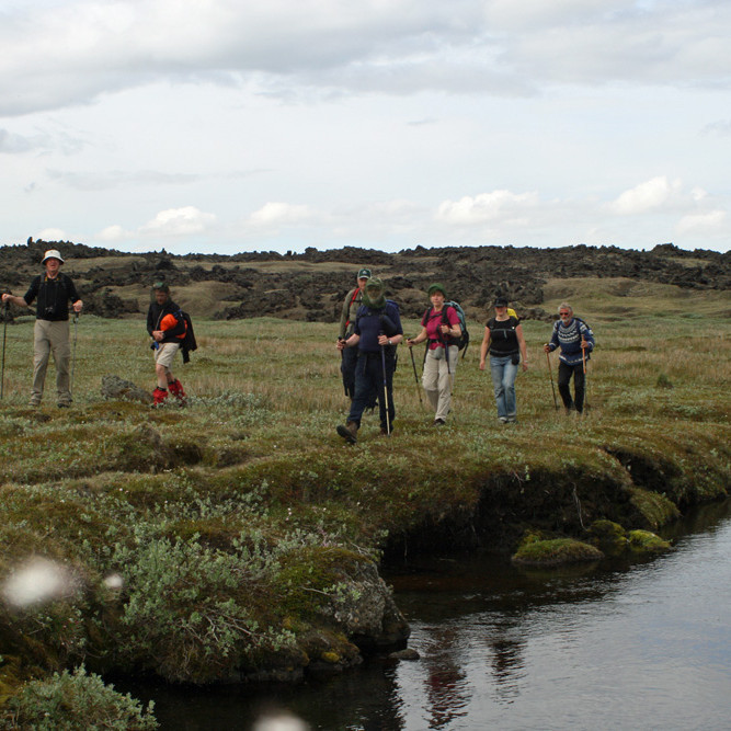 Gönguhópur FFA á bakka Efstalækjar í Suðurárbotnum.