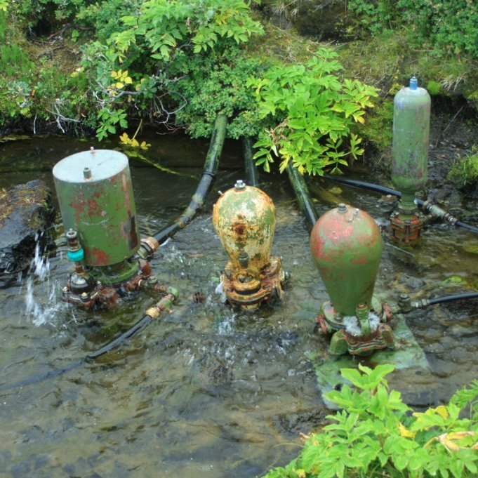 Vatnshrútarnir í Herðubreiðarlindum vekja ætíð athygli ferðafólks