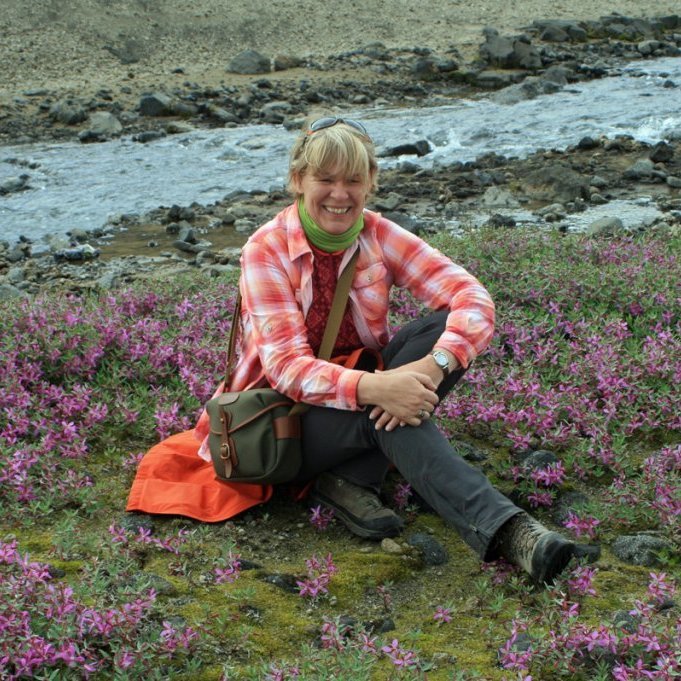 Breiða af eyrarrós við ána úr Drekagili