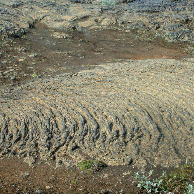 Hraunreipi í Mótungu í Suðurárbotnum.