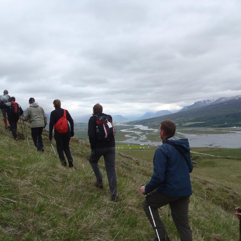 Séð inn Eyjafjörð