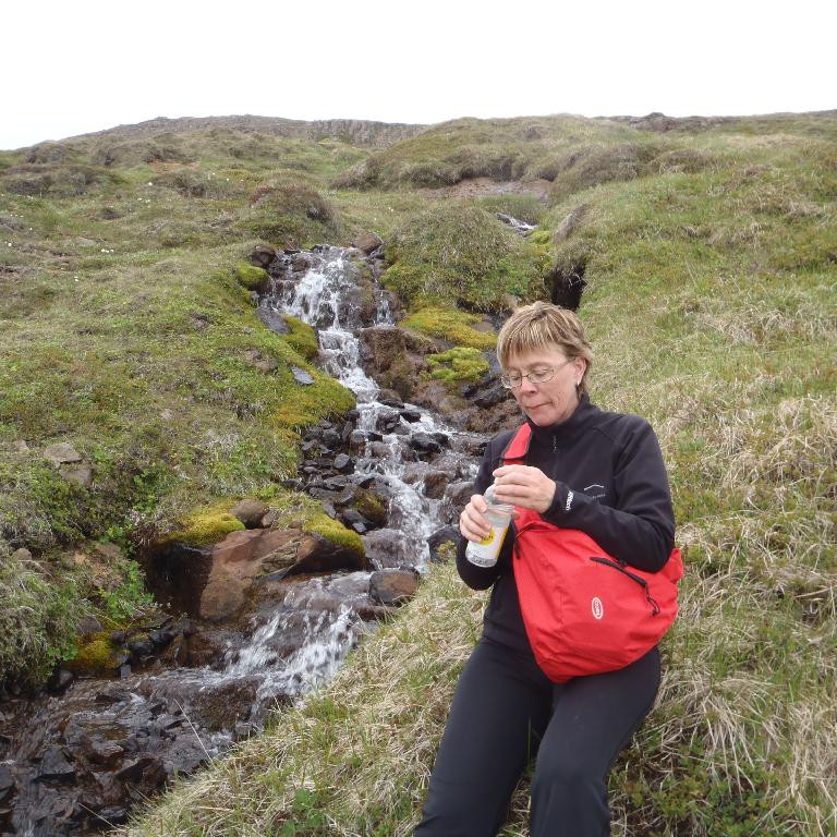 Mikið vatn var í lækjum