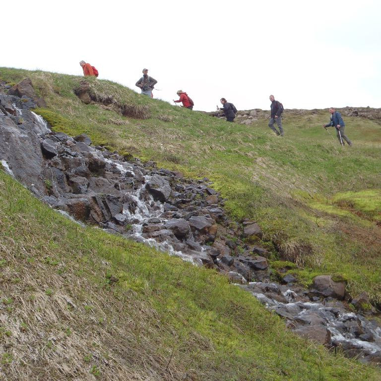 Upp grasi gróna brekkuna