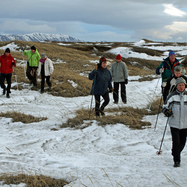 Í landgræðslugirðingu sunnan Fjallaborgar.