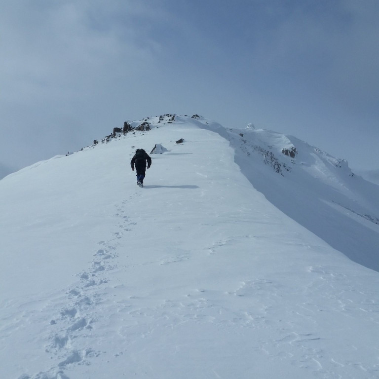 18120059_10213231466088111_2016532252_o