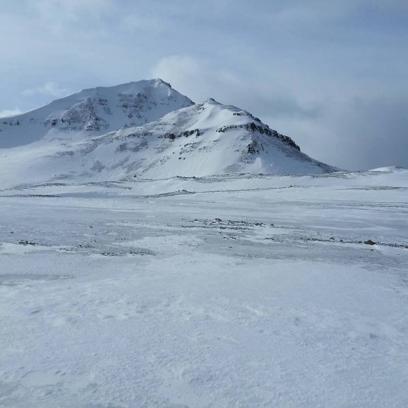 18120370_10213231467528147_1582501907_o