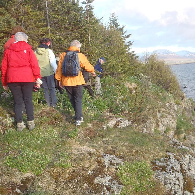 Til baka var farið niður fyrir veg og gengið eftir bakkanum