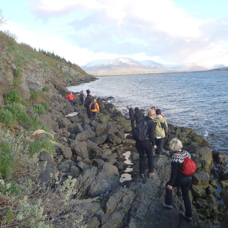 Svo var farið niður í fjöru