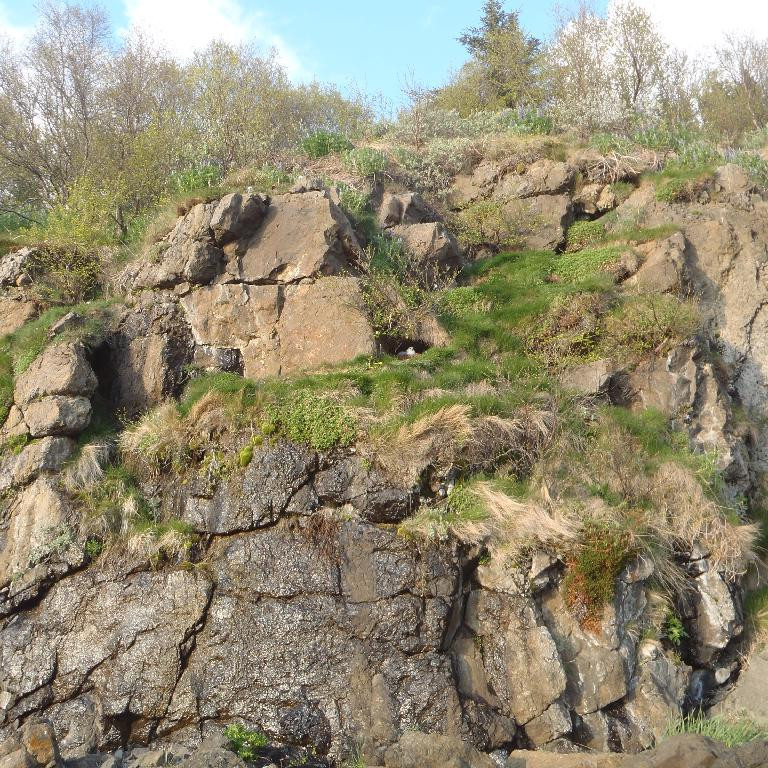 Hvar átti að fara upp?