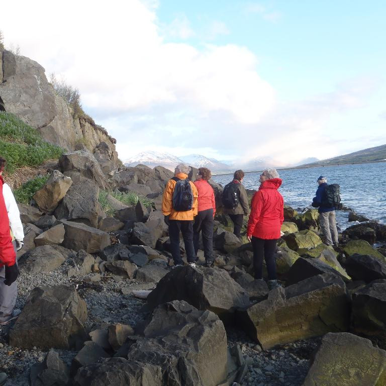 Upp komust allir og niður í fjöru aftur