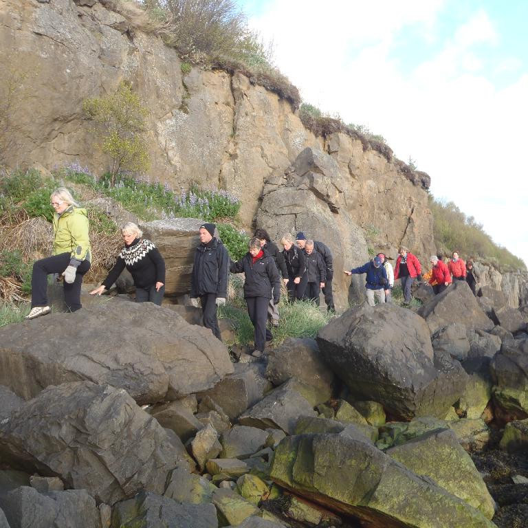 Gengið í fjörunni