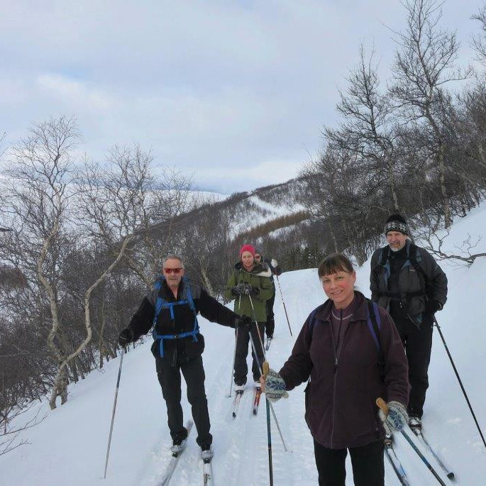 Komin inn í skóginn