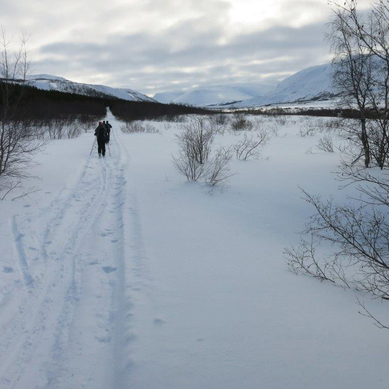 Þórðarstaðaskógur, Illugastaðir í Fnjóskadal þarna í suðri