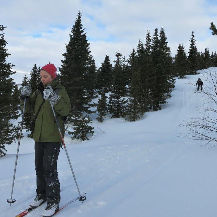 Brunað niður brekku