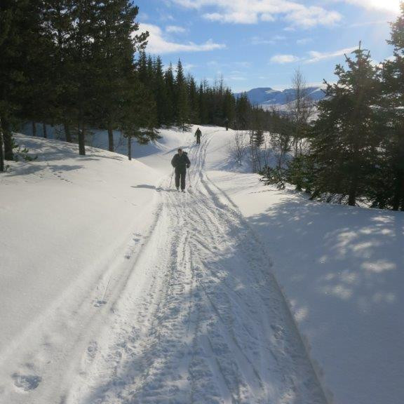 Horft í átt á Þórðarstöðum.