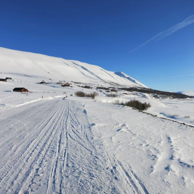 Komin á leiðarenda í Lundsskógi eftir 14 km. göngu.