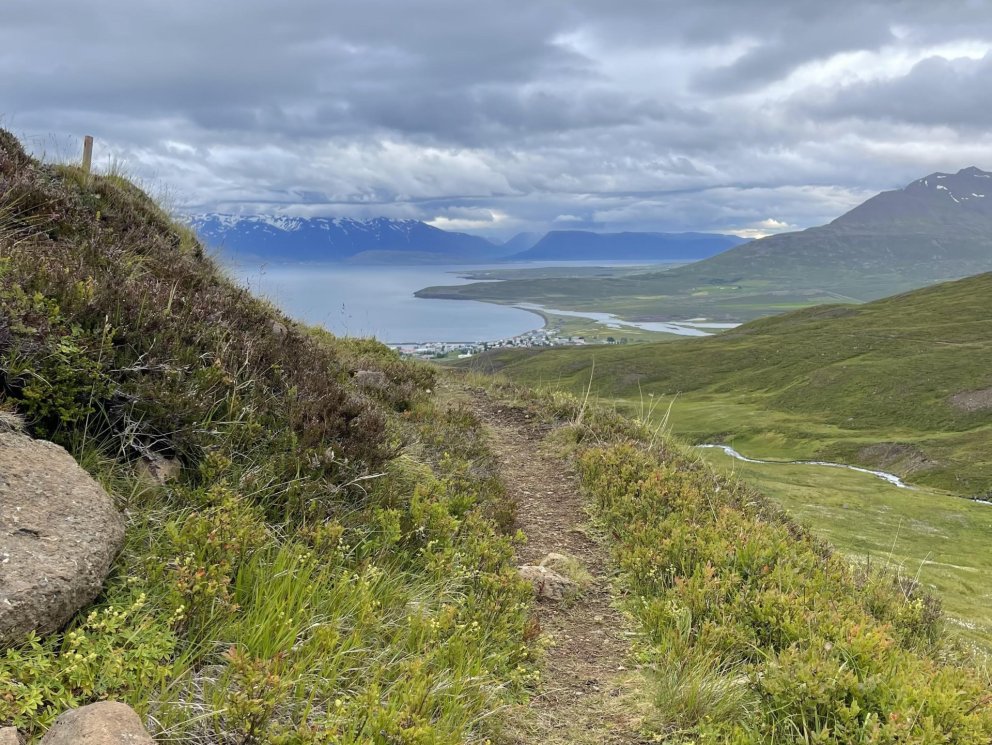 Næsta ferð 14. júní: Böggvisstaðadalur - Upsadalur