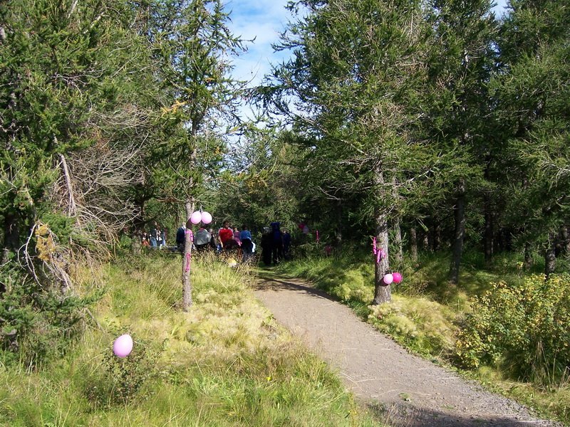 Börn og fjölskyldur í Kjarnaskógi - grillum og leikum saman