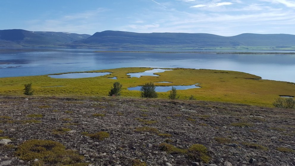 Gönguvika FFA 18.-22. júní