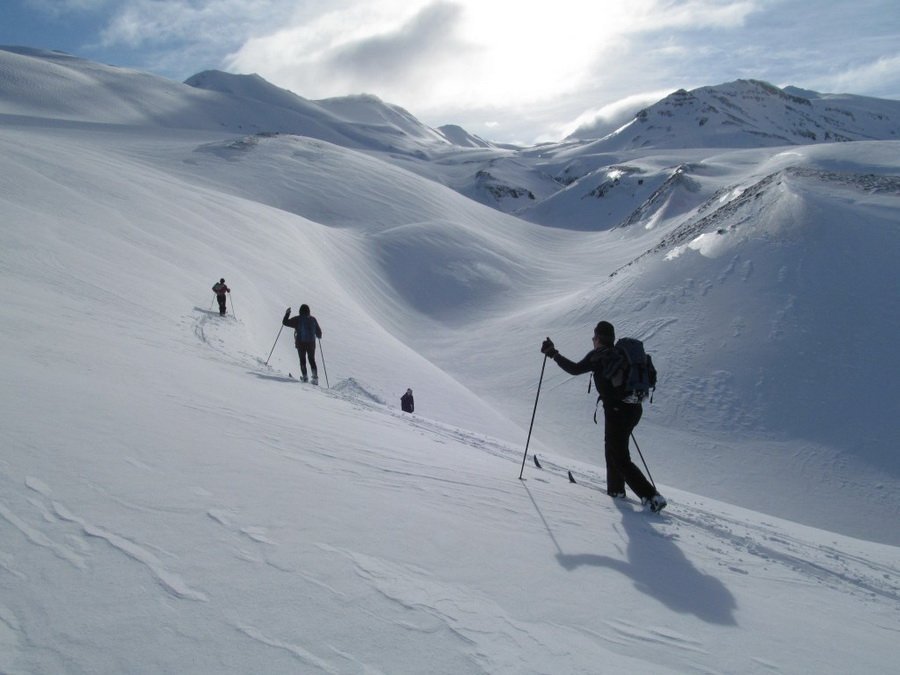 Fréttabréf FFA apríl 2023