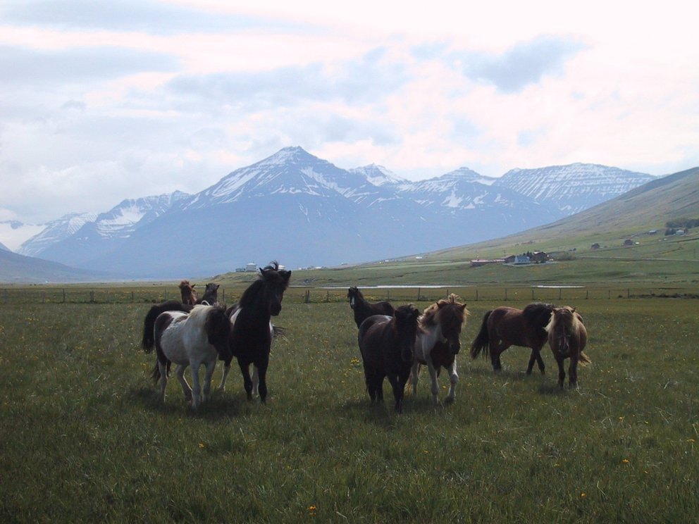 Næsta ferð 23. maí: Hjóla- og gönguferð